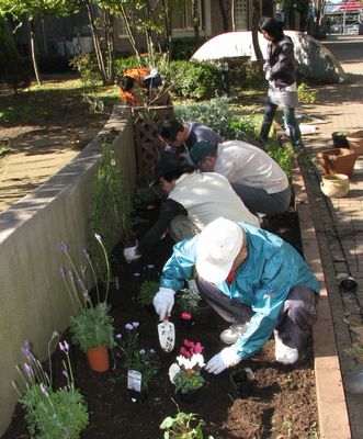 �Ԓd�̐A�����ݍ�ƂQ