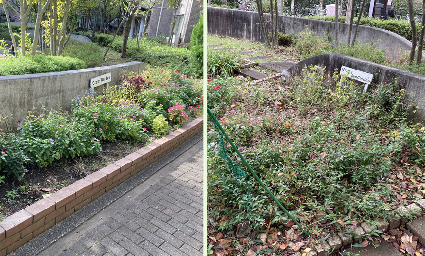 写真：植替え前の様子