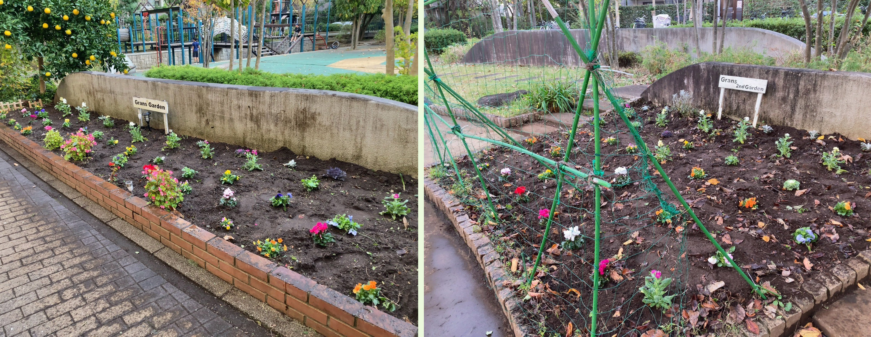 写真：植替え前の様子