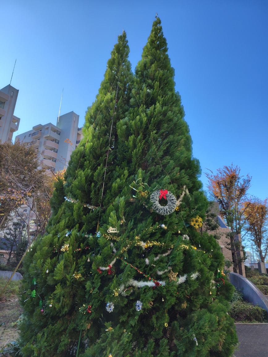 写真：飾りつけの様子