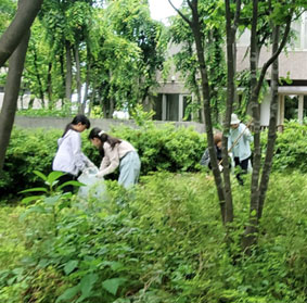 写真：敷地内の草取り風景