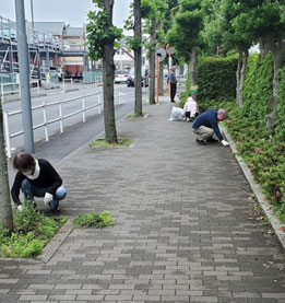 写真:バス通りの草取り風景