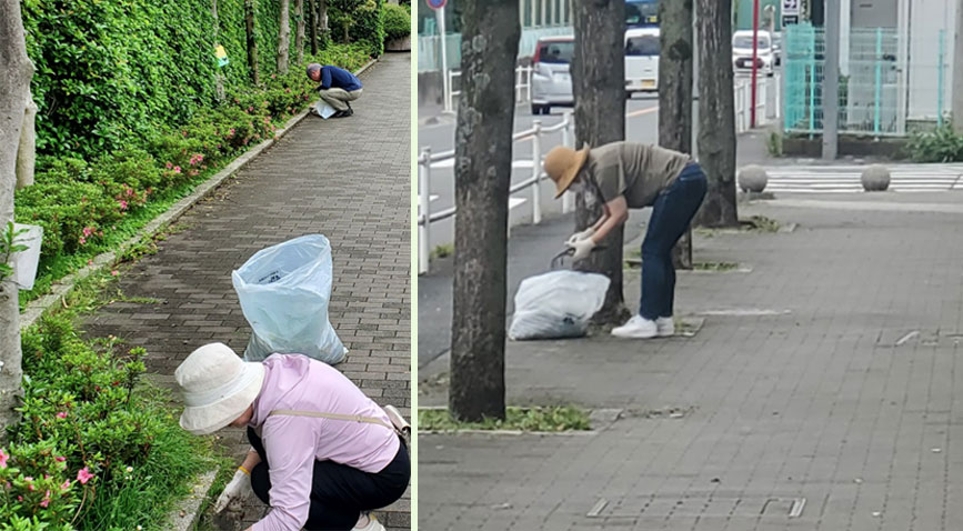 写真：バス通りの草取り風景