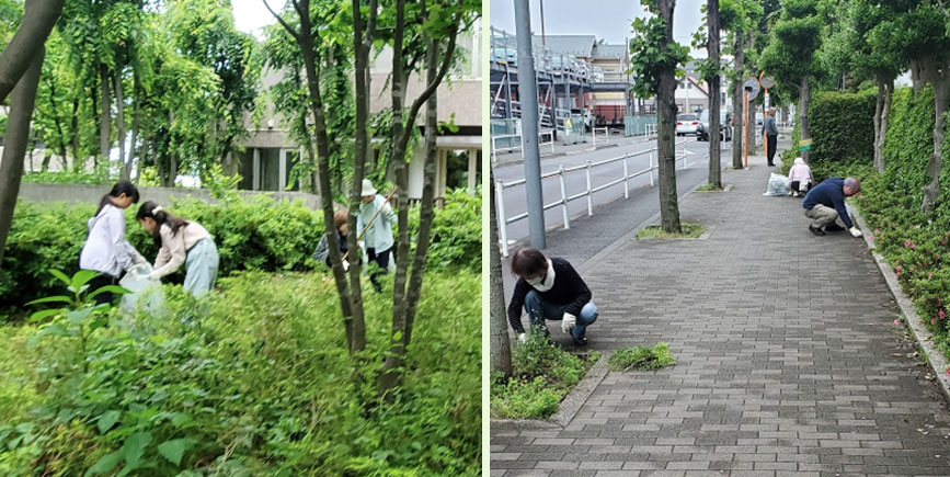 写真：敷地内・バス通りの草取り風景