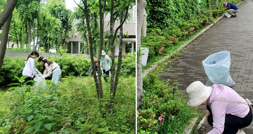 写真:草取り風景