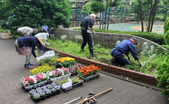 写真:植え替えのようす