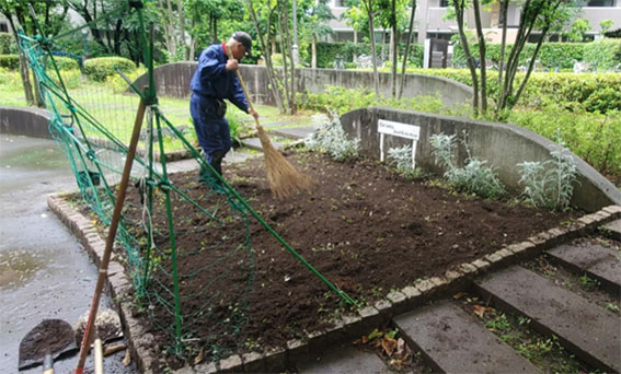 写真:植え替えのようす