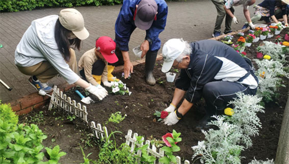 写真：植え替えのようす