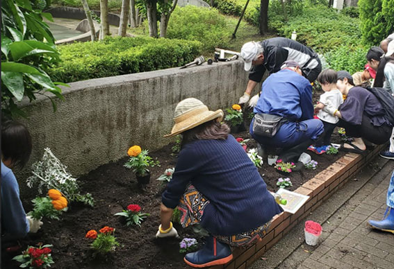 写真:植え替えのようす