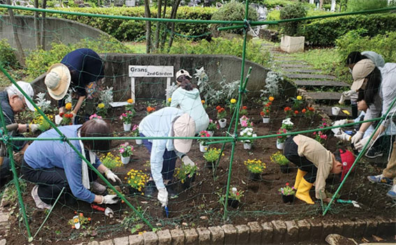 写真:植え替えのようす