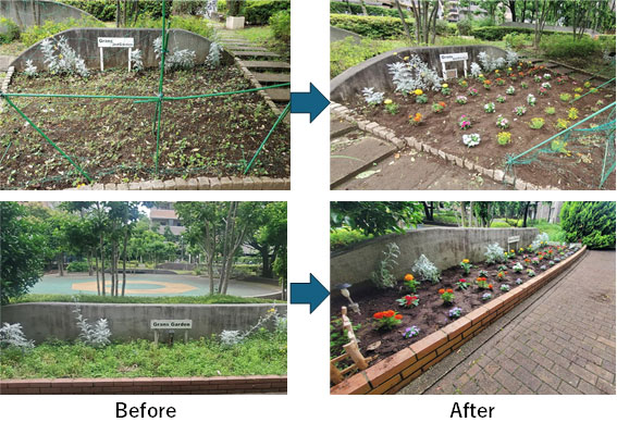 写真:植え替えの成果