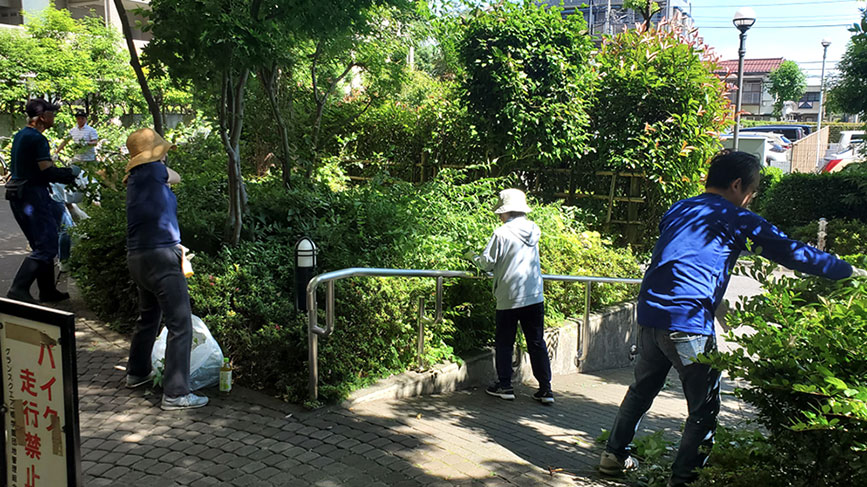 写真:草取りのようす