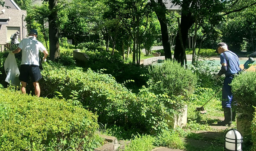 写真：ツル取りと草刈り