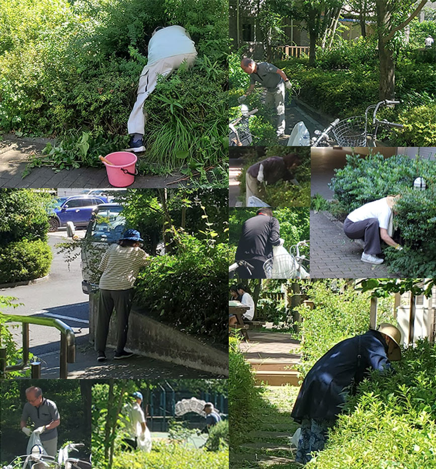 写真:草取りのようす