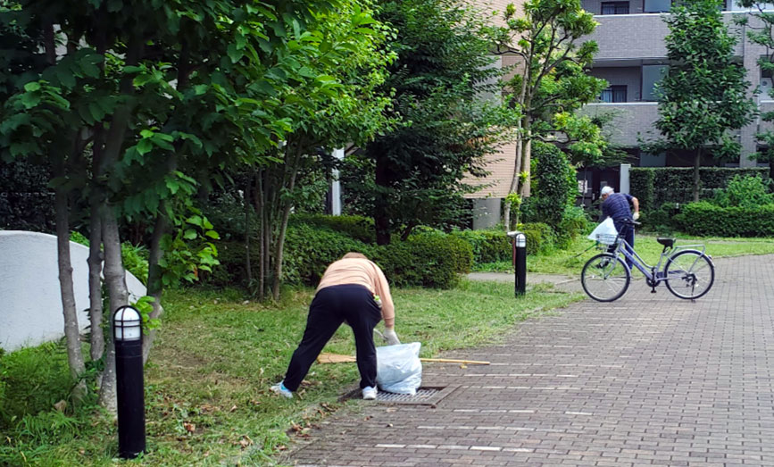 写真:草取りのようす