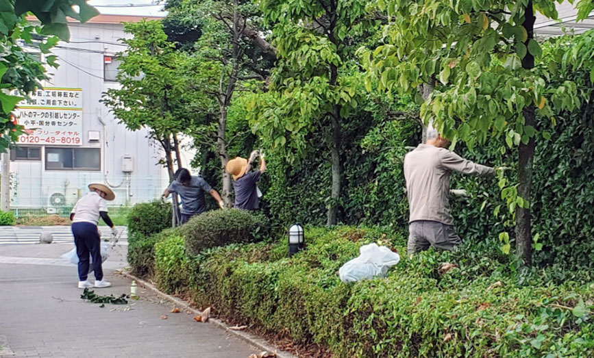 写真：ツル取り