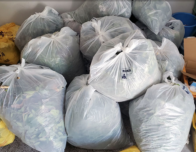 写真:草取りの成果