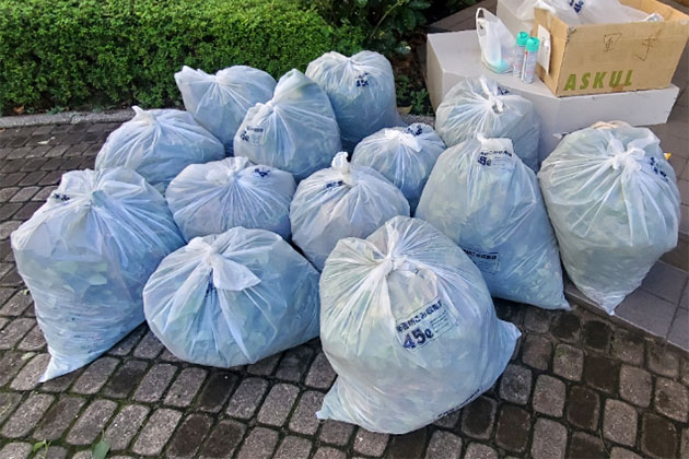 写真:草取りの成果