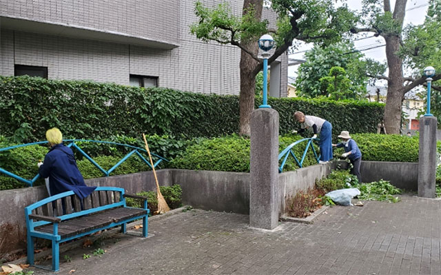 写真：草取りのようす