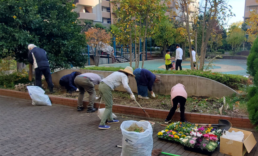 写真:植え替えのようす