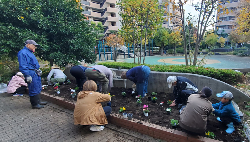 写真：植え替えのようす