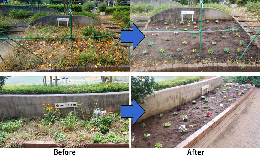 写真:植え替えのようす